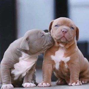 Meet your Posher, Ana